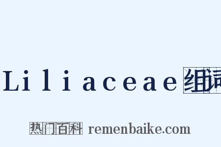 Liliaceae组词是什么意思的图片
